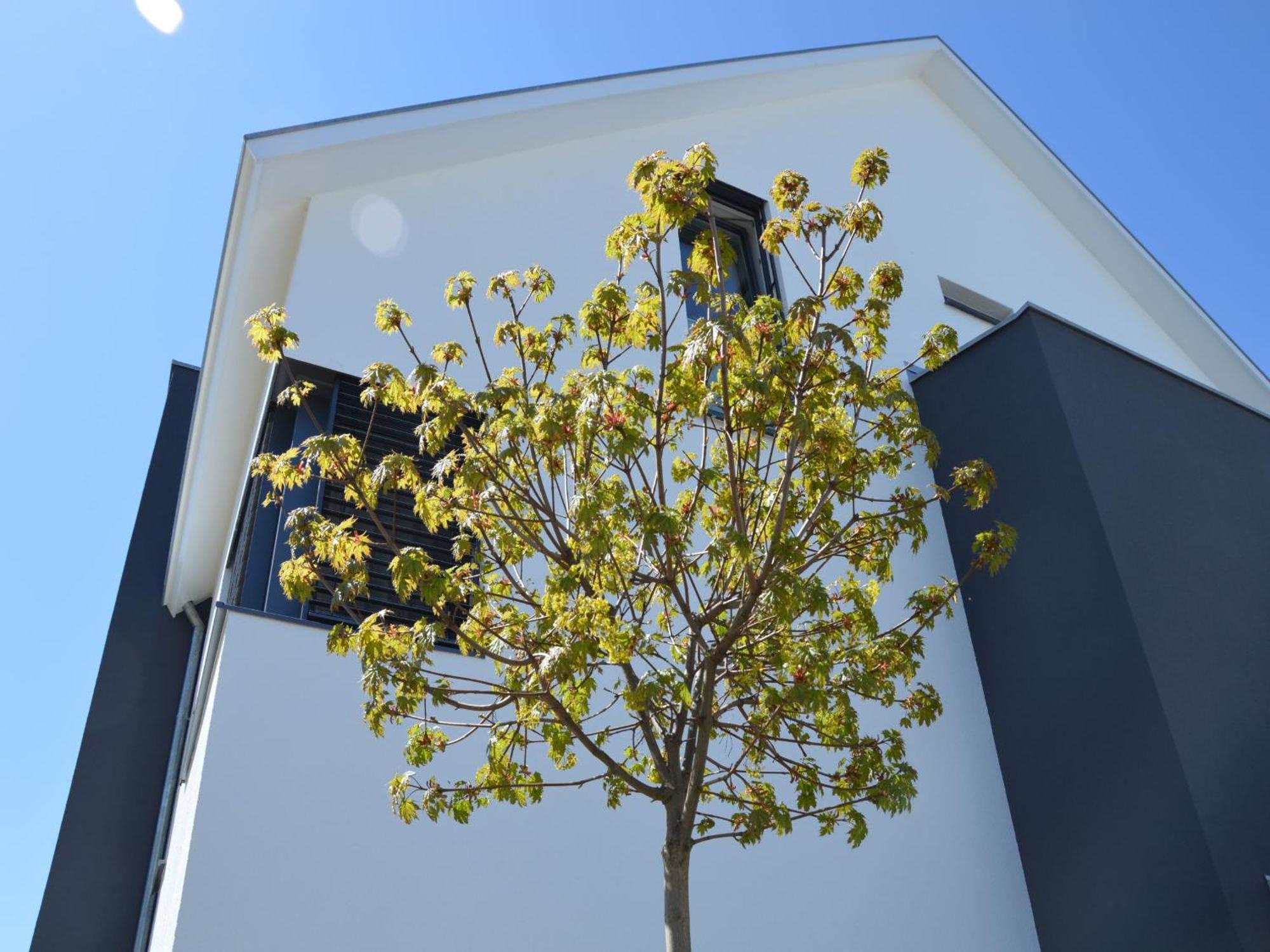 Kapps Haus Apartment Langenargen Luaran gambar